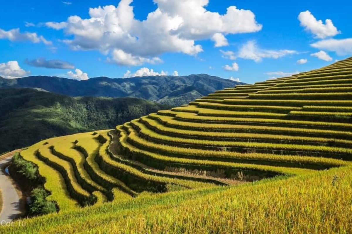 Mường Tè Lai Chau Vietnam 